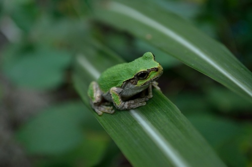 びっくりした～