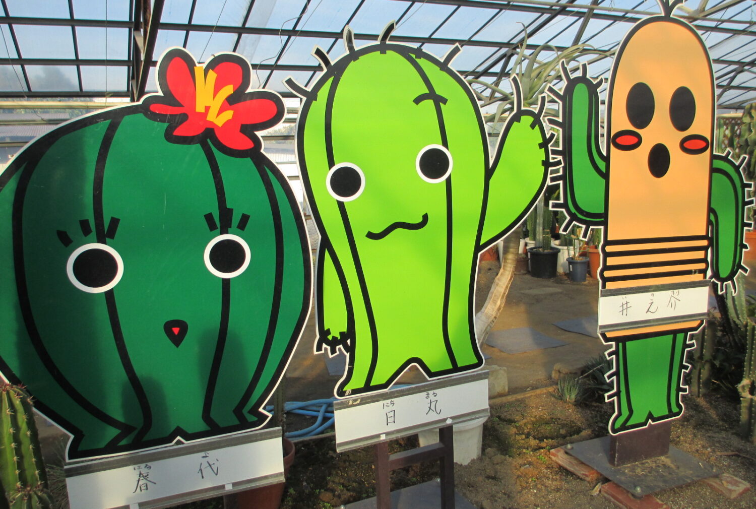 後藤サボテンさん