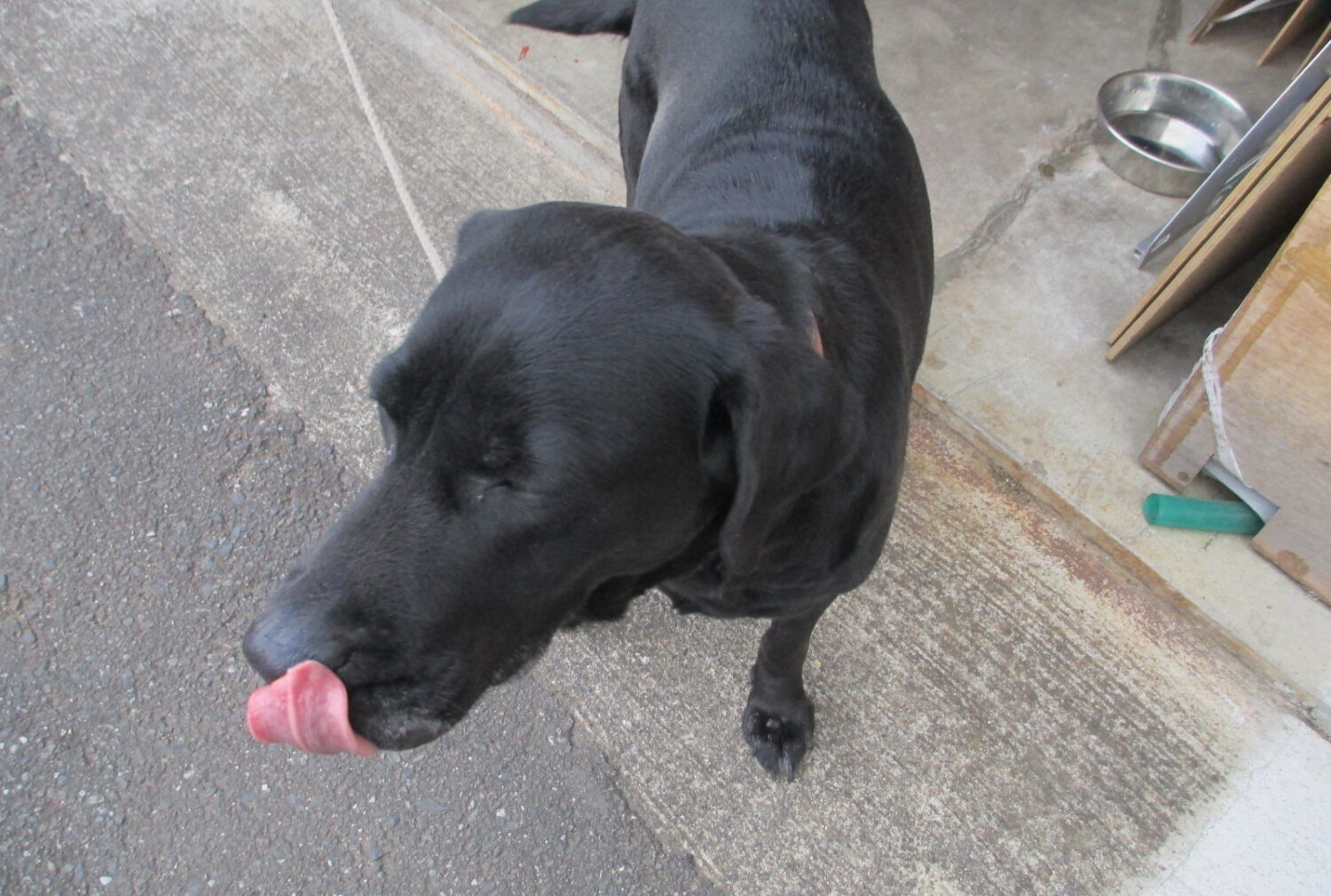 社長の癒し　②