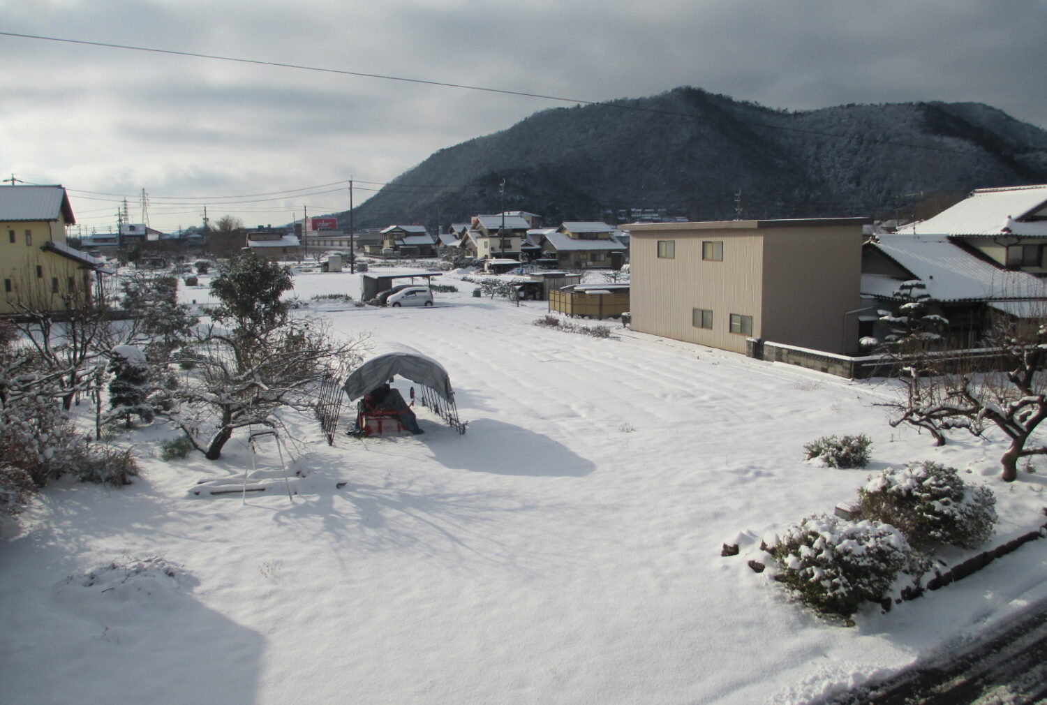 ビックリ(゜o゜)