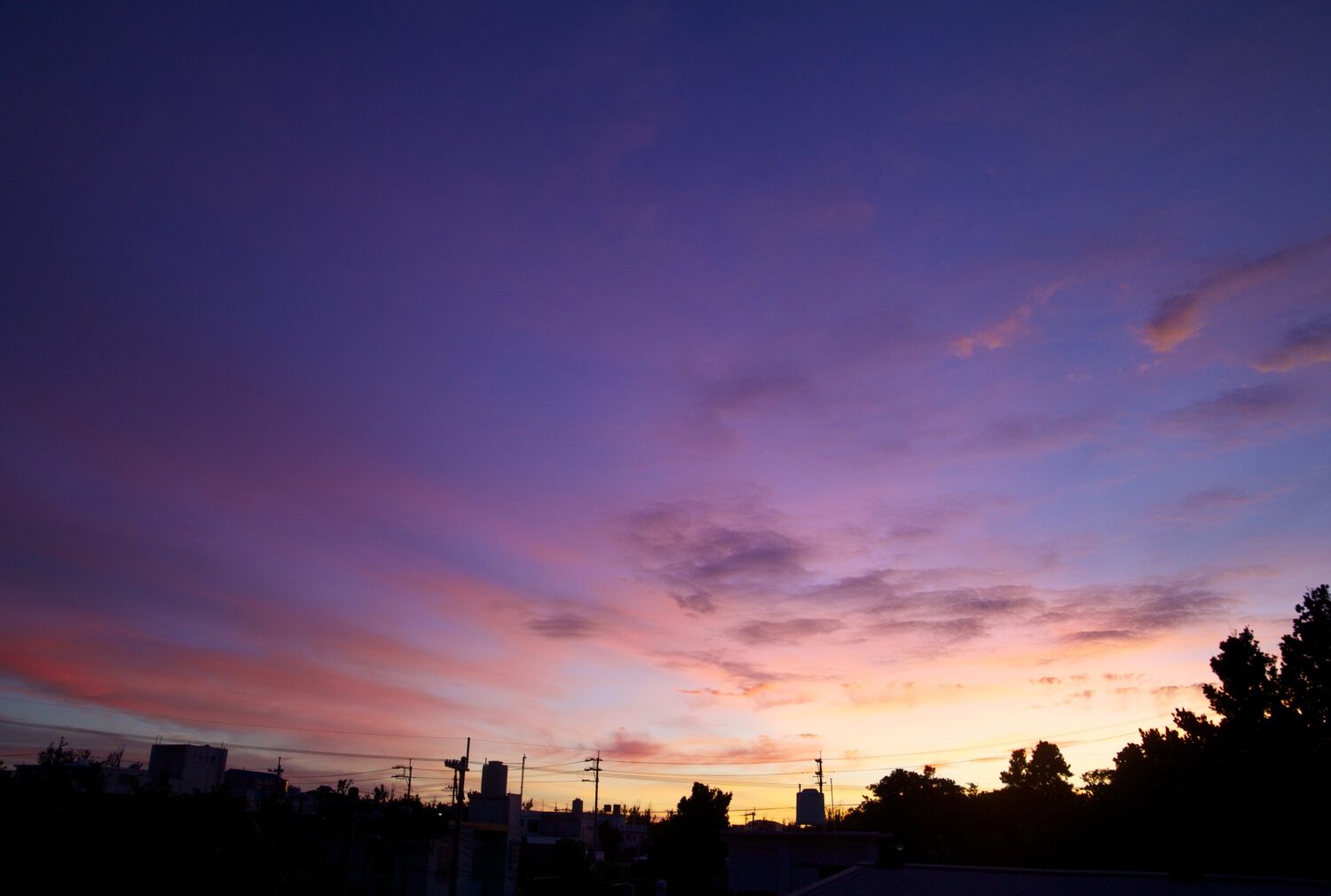 初夏の匂い(≧∇≦)/