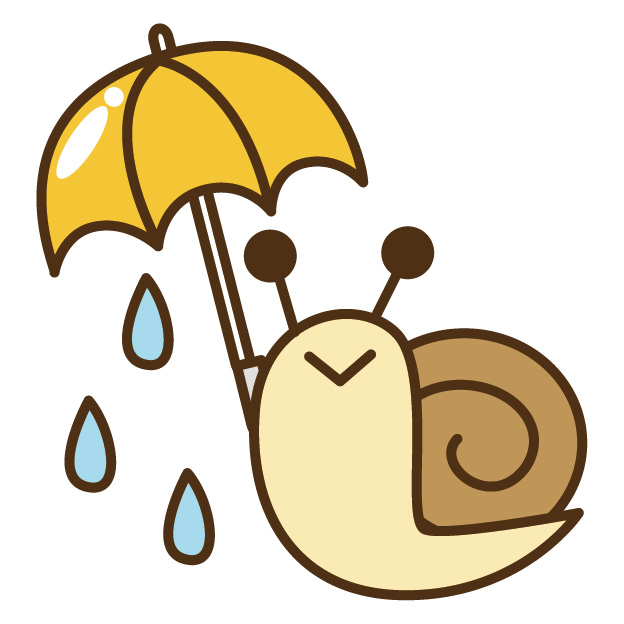 雨ですね。