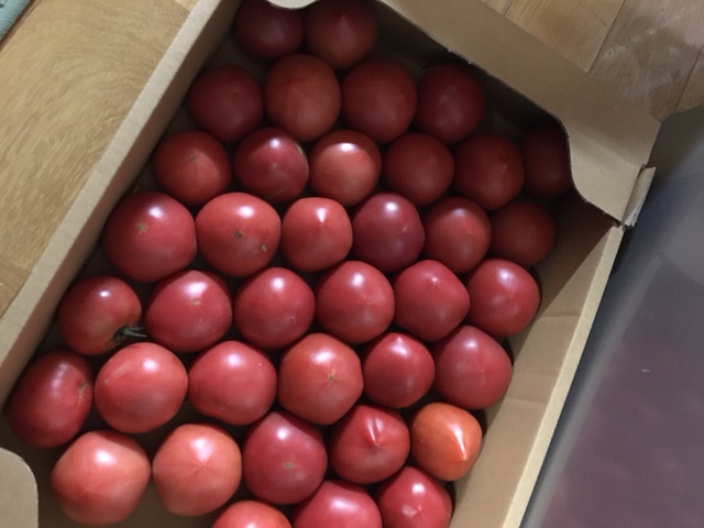 トマト　　part2