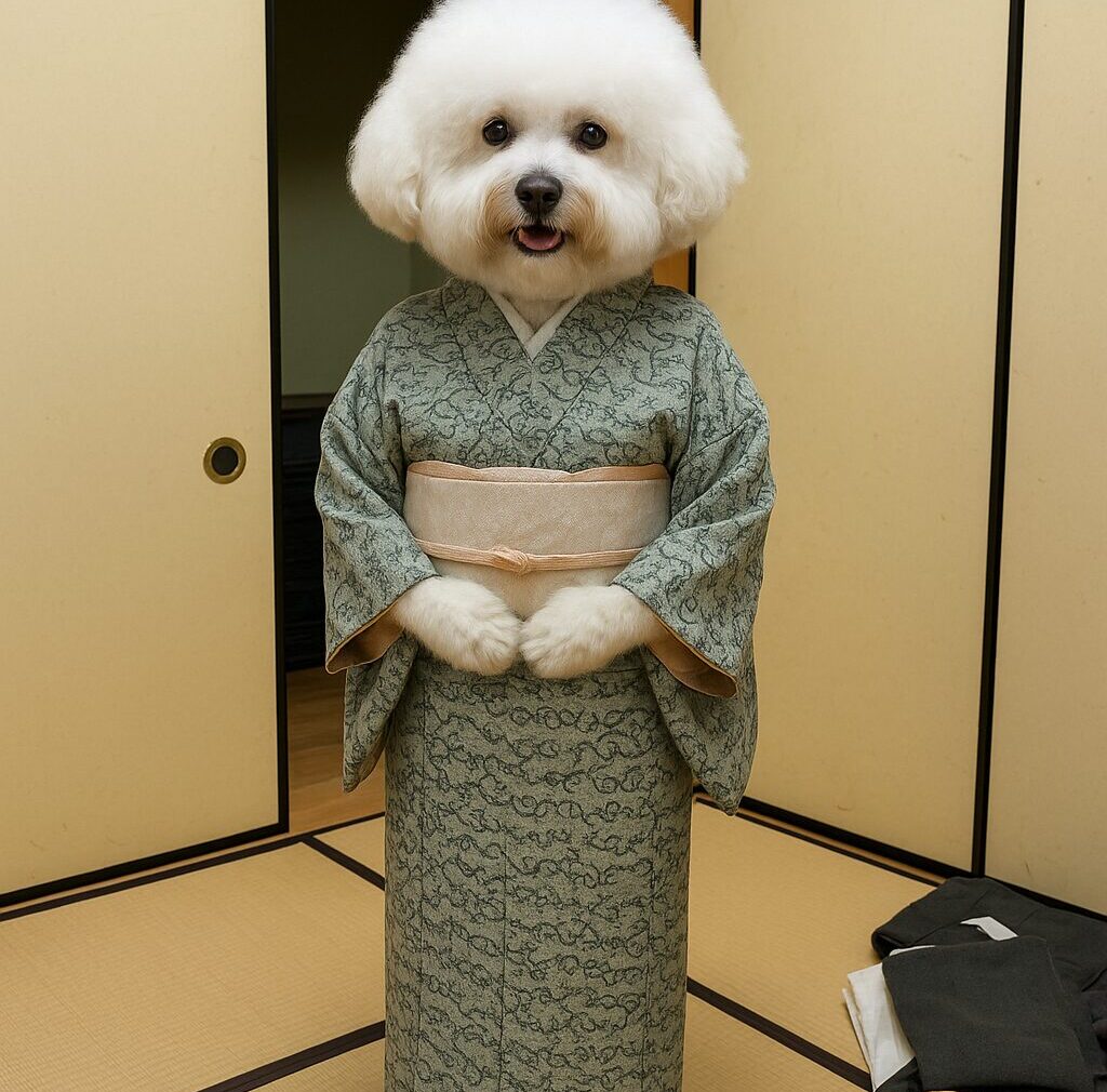 犬になりました🐶